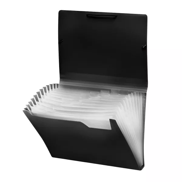 CARPETA CLASIFICADOR