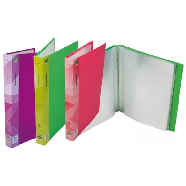 CARPETA CLASIFICADOR