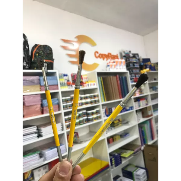 PINCEL