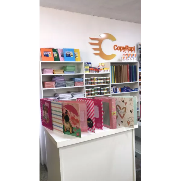 CARPETA AROS